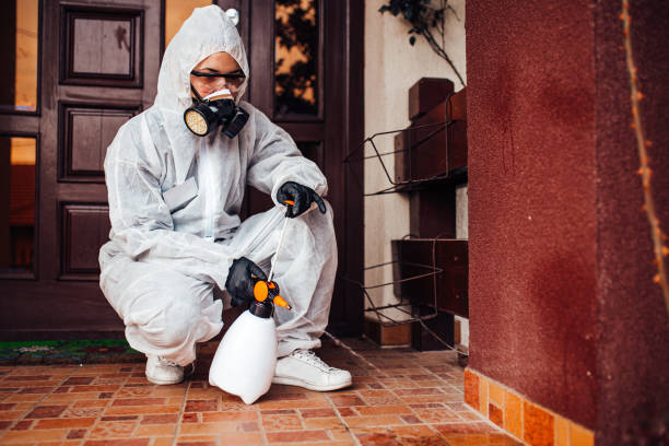 Reliable Ant Control contractor in Spotsylvania Courthouse, VA by Show Me Pest Control