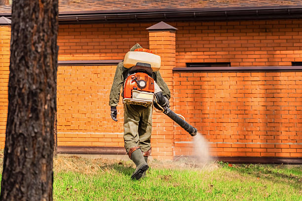 Top rated local Ant Control specialists in Spotsylvania Courthouse, VA